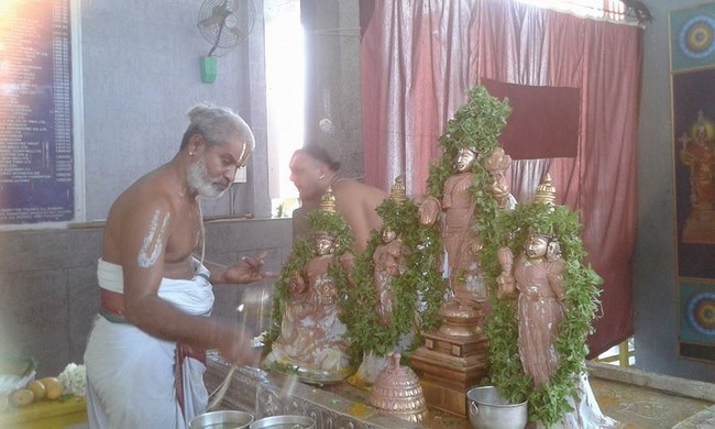 Mylapore SVDD Srinivasa Perumal Temple Vasanthotsavam27