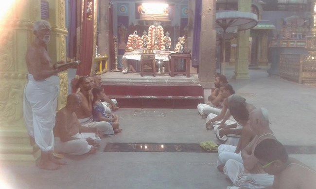 Mylapore SVDD Srinivasa Perumal Temple Vasanthotsavam3