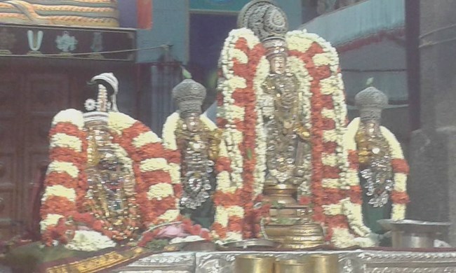 Mylapore SVDD Srinivasa Perumal Temple Vasanthotsavam34