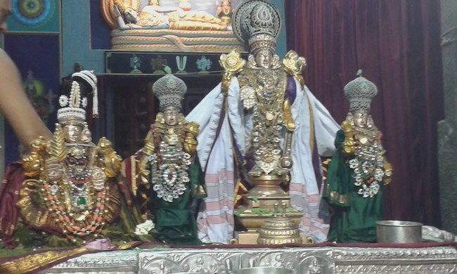 Mylapore SVDD Srinivasa Perumal Temple Vasanthotsavam4