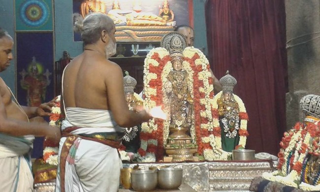 Mylapore SVDD Srinivasa Perumal Temple Vasanthotsavam5
