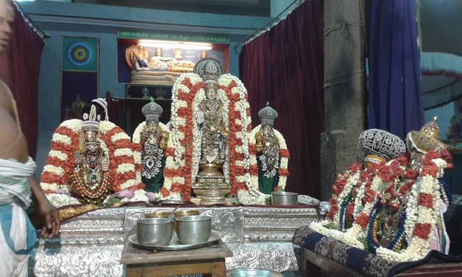Mylapore SVDD Srinivasa Perumal Temple Vasanthotsavam6