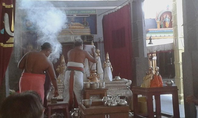 Mylapore SVDD Srinivasa Perumal Temple Vasanthotsavam7
