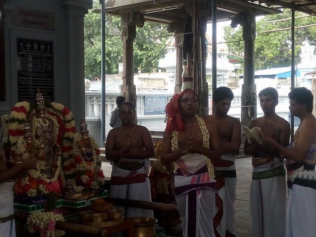 Mylapore Sri Madhava Perumal Temple Brahmotsavam Commences1