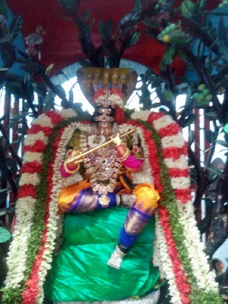 Mylapore Sri Madhava Perumal Temple Brahmotsavam Commences6