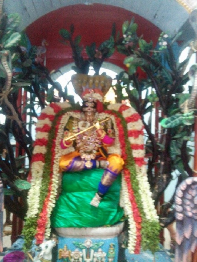 Mylapore Sri Madhava Perumal Temple Brahmotsavam Commences8