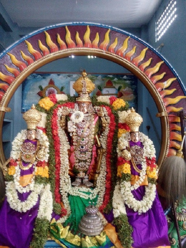 Mylapore Sri Madhava Perumal Temple Brahmotsavam23