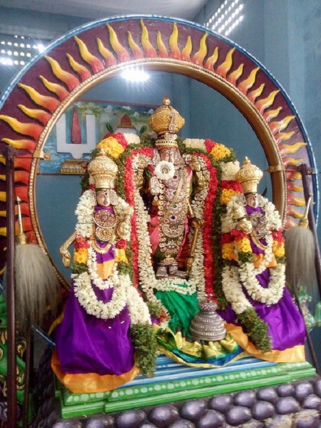 Mylapore Sri Madhava Perumal Temple Brahmotsavam5