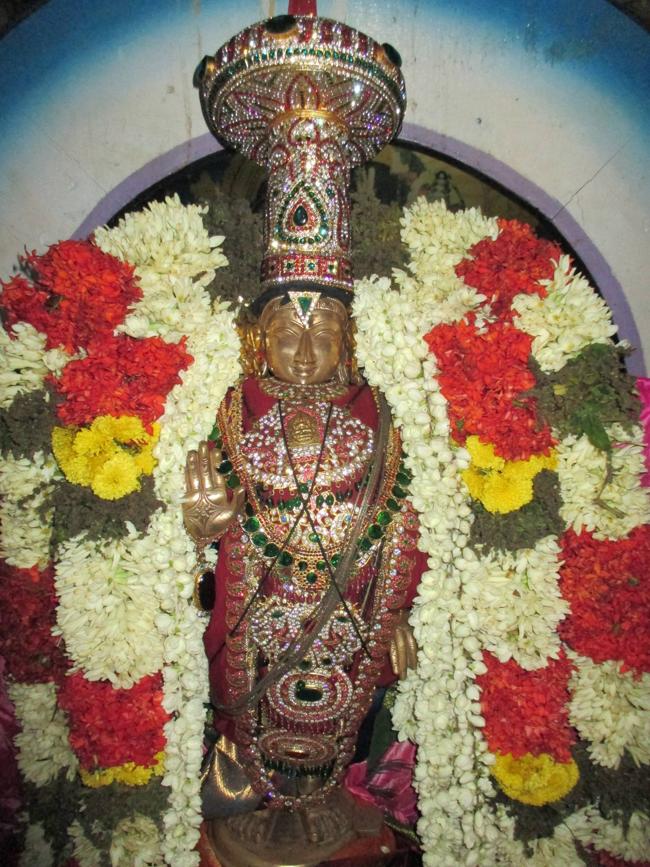 NarasingapuramSriLakshmiNarasimha (3)