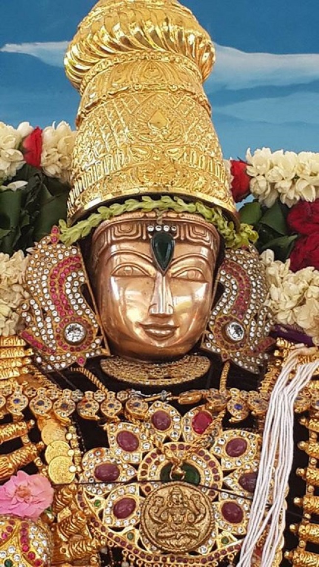 Pondicherry Sri Srinivasa Perumal Temple Brahmotsavam Commences12
