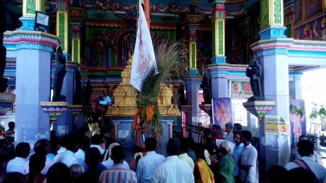 Pondicherry Sri Srinivasa Perumal Temple Brahmotsavam Commences13