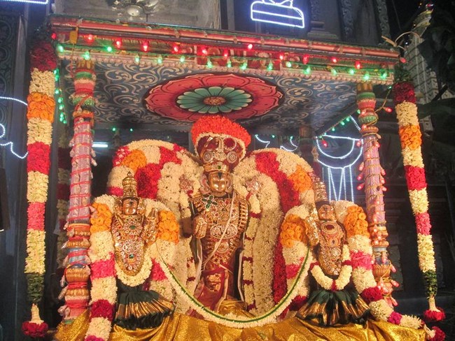 Pondicherry Sri Srinivasa Perumal Temple Brahmotsavam Commences17