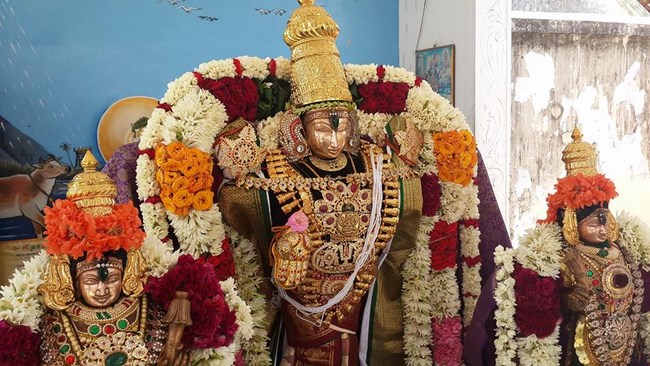 Pondicherry Sri Srinivasa Perumal Temple Brahmotsavam Commences18