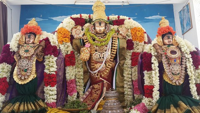 Pondicherry Sri Srinivasa Perumal Temple Brahmotsavam Commences19
