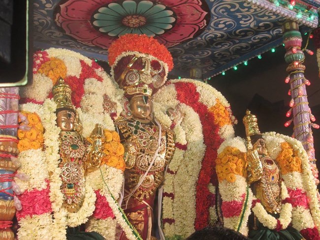 Pondicherry Sri Srinivasa Perumal Temple Brahmotsavam Commences21
