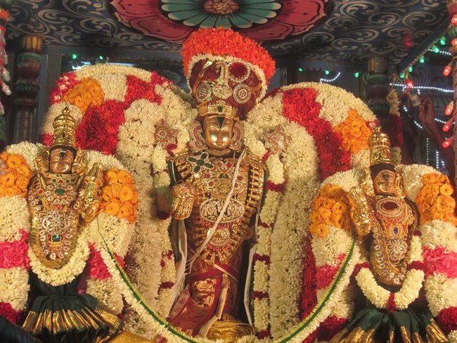Pondicherry Sri Srinivasa Perumal Temple Brahmotsavam Commences9