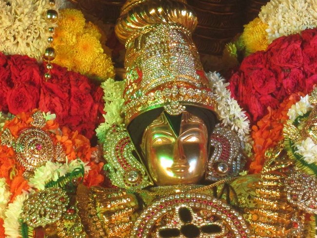 Pondicherry Sri Srinivasa Perumal Temple Brahmotsavam11