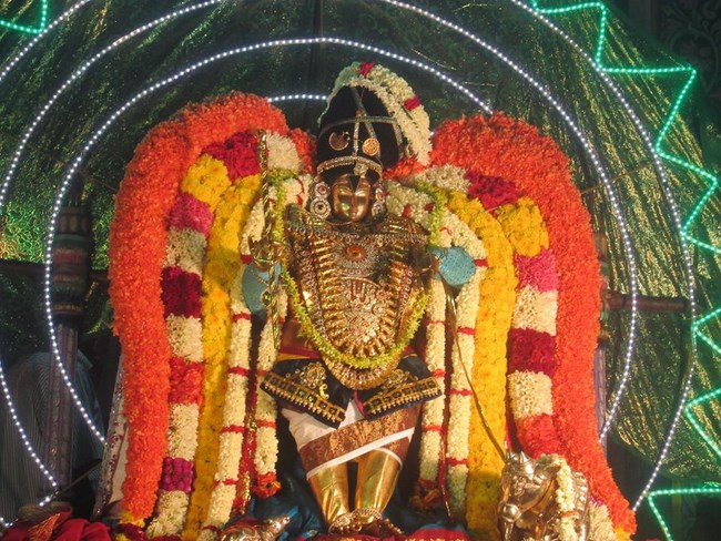 Pondicherry Sri Srinivasa Perumal Temple Brahmotsavam16