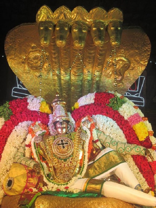 Pondicherry Sri Srinivasa Perumal Temple Brahmotsavam17