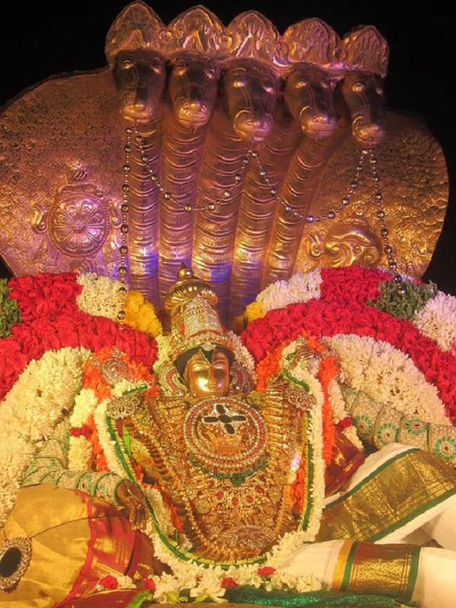 Pondicherry Sri Srinivasa Perumal Temple Brahmotsavam19