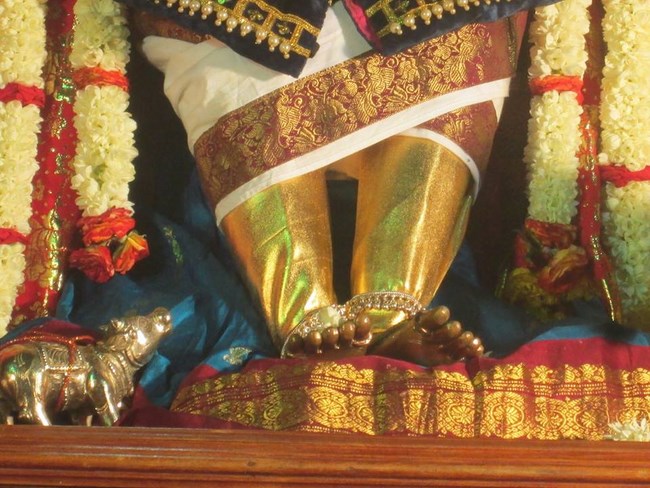 Pondicherry Sri Srinivasa Perumal Temple Brahmotsavam2