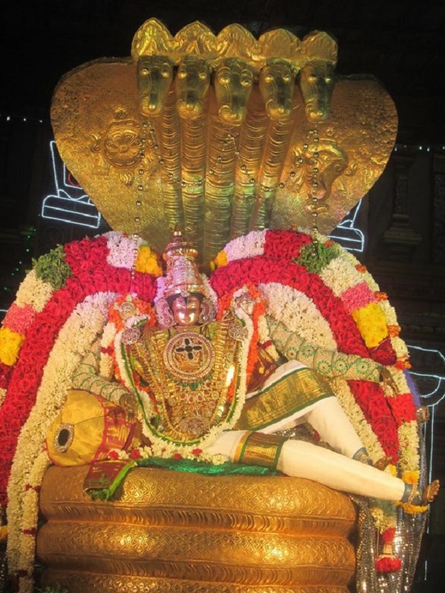 Pondicherry Sri Srinivasa Perumal Temple Brahmotsavam7