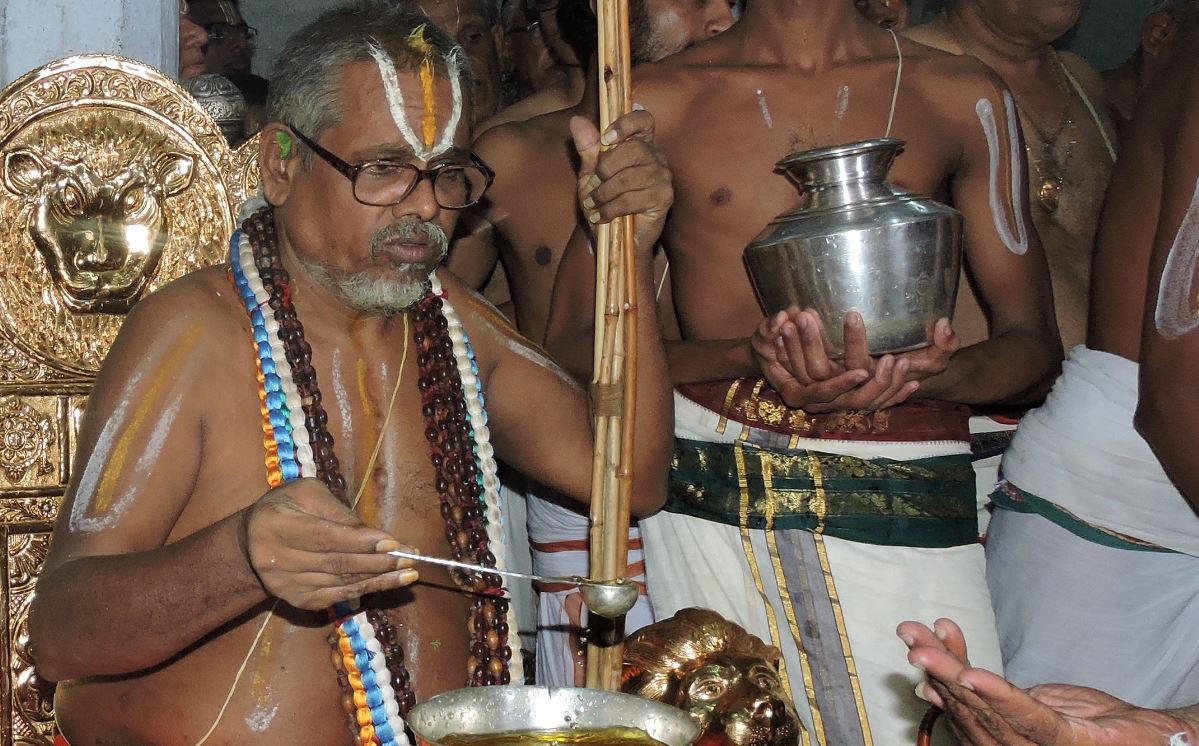 Srimad Azhagiyasingar Dwadasi Paranai at Srirangam 1 2015