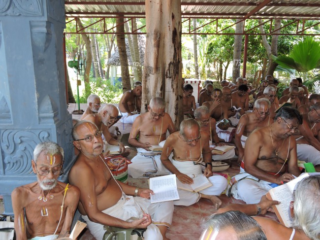 Srimushnam Andavan Sathabisheka Mahotsavam  day 2 Thiruppathi Jeeyar Visits-2015-35