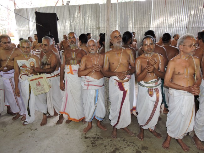 Srimushnam Andavan Sathabisheka Mahotsavam  day 3 Veda Parayanam-2015-23