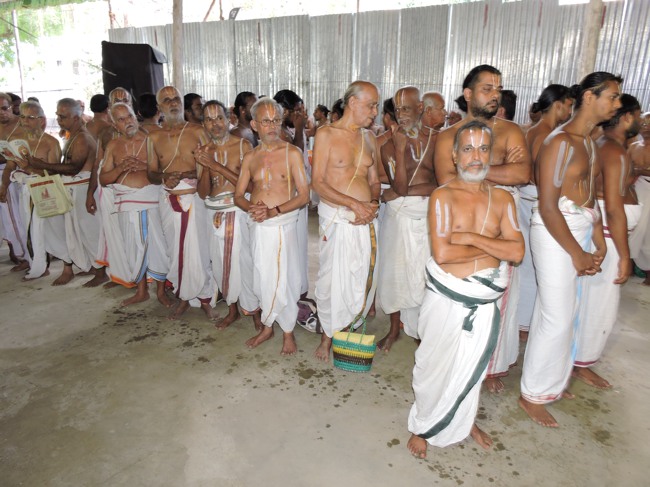 Srimushnam Andavan Sathabisheka Mahotsavam  day 3 Veda Parayanam-2015-24