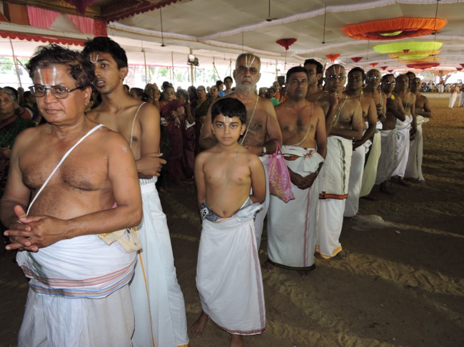 Srimushnam Andavan Sathabisheka Mahotsavam  day 3 Veda Parayanam-2015-29