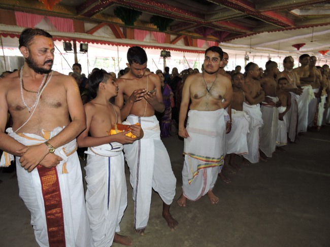 Srimushnam Andavan Sathabisheka Mahotsavam  day 3 Veda Parayanam-2015-33