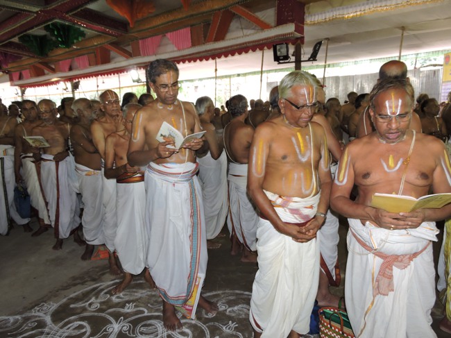 Srimushnam Andavan Sathabisheka Mahotsavam  day 3 Veda Parayanam-2015-35