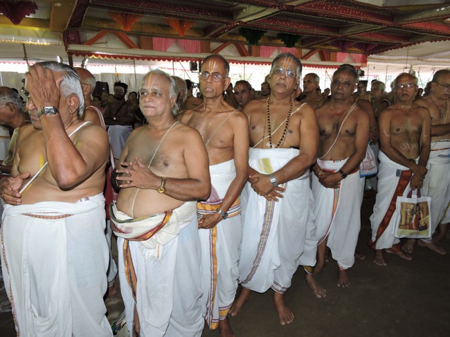 Srimushnam Andavan Sathabisheka Mahotsavam  day 3 Veda Parayanam-2015-38