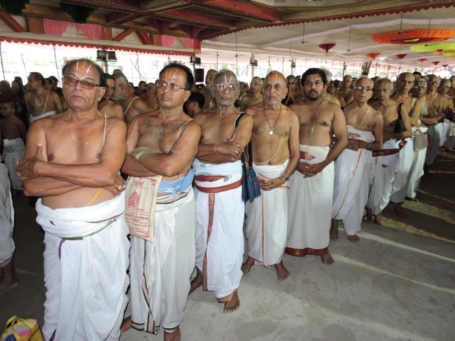 Srimushnam Andavan Sathabisheka Mahotsavam  day 3 Veda Parayanam-2015-40