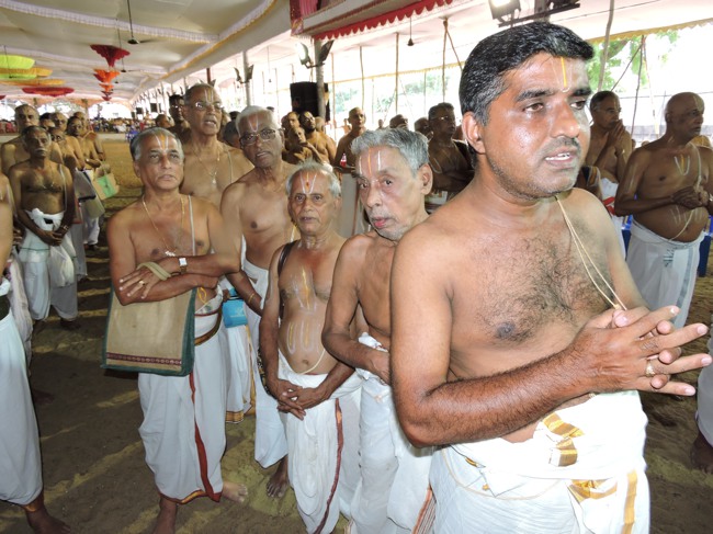Srimushnam Andavan Sathabisheka Mahotsavam  day 3 Veda Parayanam-2015-42