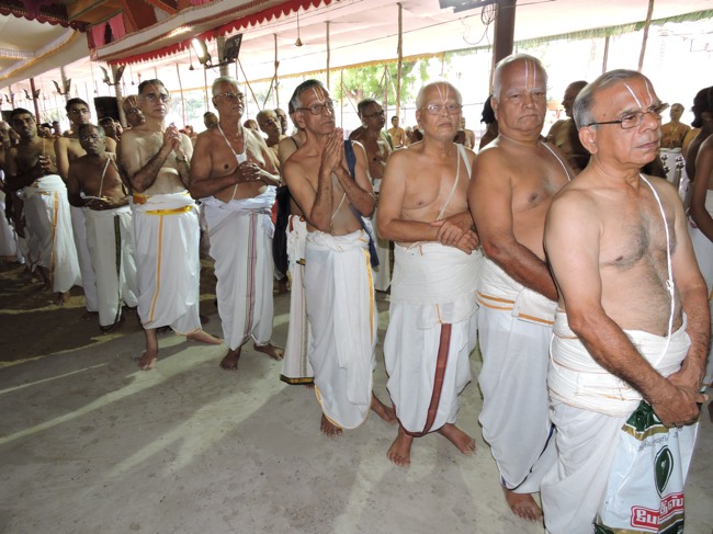Srimushnam Andavan Sathabisheka Mahotsavam  day 3 Veda Parayanam-2015-44