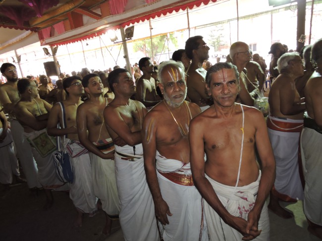 Srimushnam Andavan Sathabisheka Mahotsavam  day 3  Visits-Veda Parayanam 2015-38