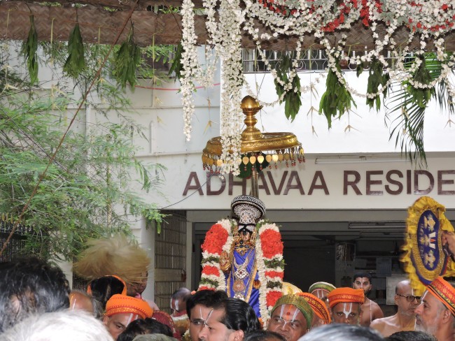 Srirangam Namperumal Gajendra Moksham Vaibhavam at Amma Mandapam  2015 18