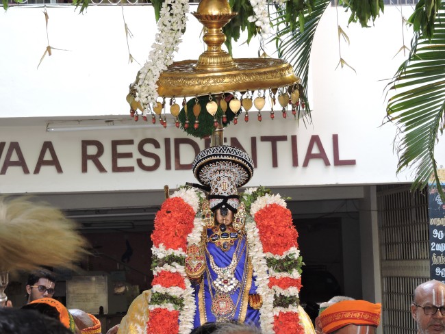 Srirangam Namperumal Gajendra Moksham Vaibhavam at Amma Mandapam  2015 19