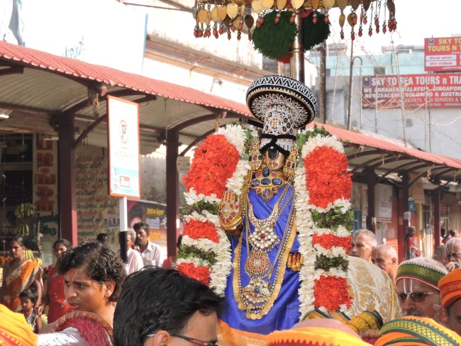 Srirangam Namperumal Gajendra Moksham Vaibhavam at Amma Mandapam  2015 23