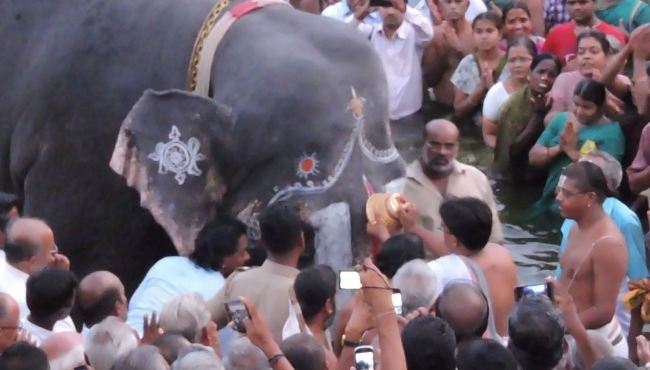 Srirangam Namperumal Gajendra Moksham Vaibhavam at Amma Mandapam  2015 54