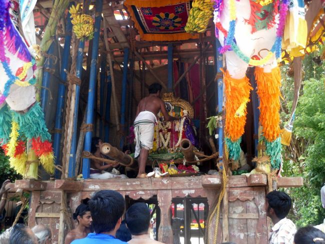 THirukannamangai SRi Bhakthavatsala Perumal Temple Chithirai Brahmotsavam day 9  2015 02