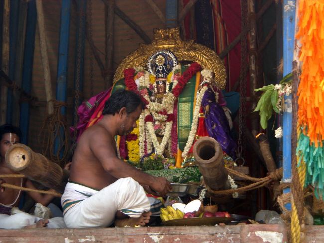THirukannamangai SRi Bhakthavatsala Perumal Temple Chithirai Brahmotsavam day 9  2015 05