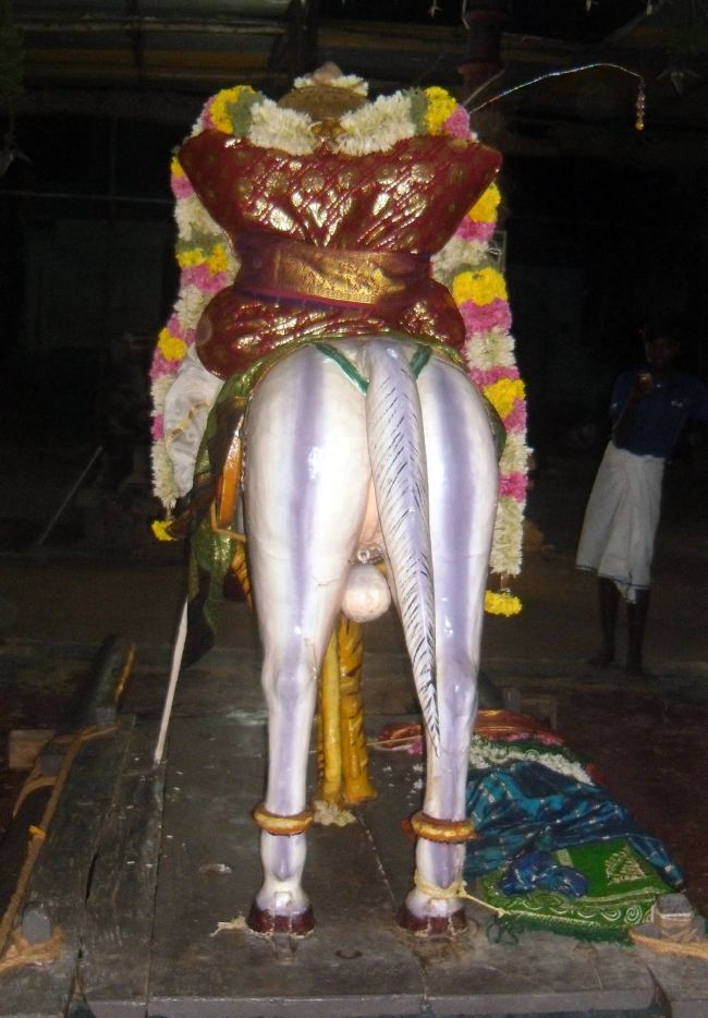 THirukannamangai Sri Bhakthavatasala Perumal Temple Chithirai Brahmotsavam day 8  2015 07