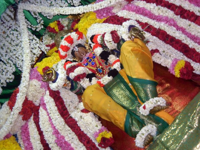 THirukannamangai Sri Bhakthavatsala Perumal Temple vidayatri Utsavam 2015 23