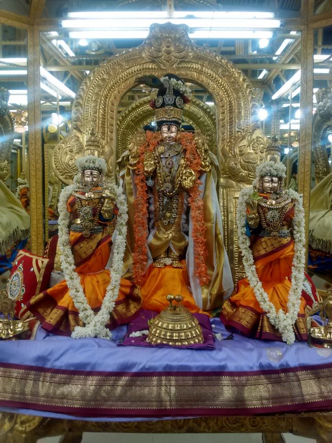 THiruvelukkai Sri Azhagiyasinga Perumal temple Narasimha Jayanthi  2015 01