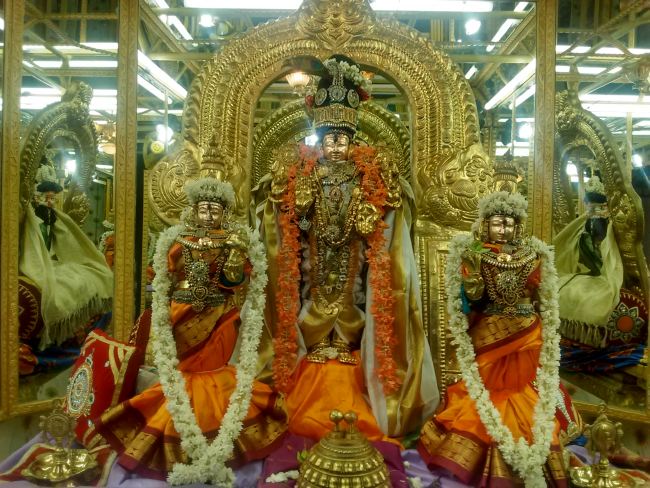 THiruvelukkai Sri Azhagiyasinga Perumal temple Narasimha Jayanthi  2015 02