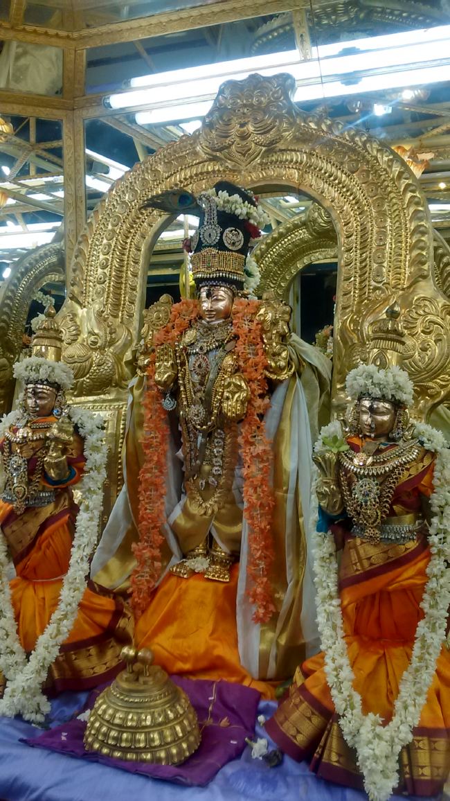 THiruvelukkai Sri Azhagiyasinga Perumal temple Narasimha Jayanthi  2015 07