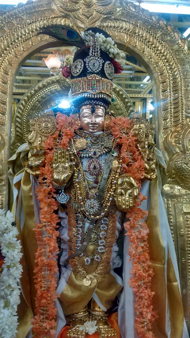 THiruvelukkai Sri Azhagiyasinga Perumal temple Narasimha Jayanthi  2015 08